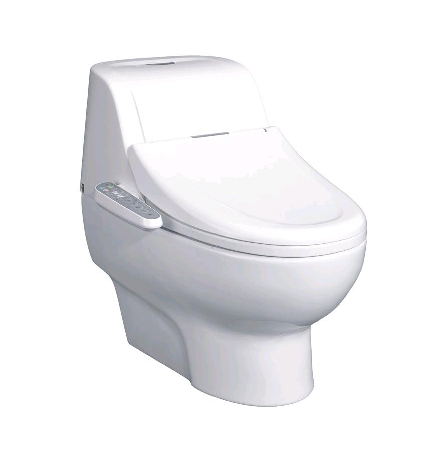 马桶蹲便器选什么品牌的,蹲便器马桶哪种好