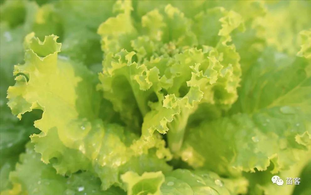 微时光田东,微时光美好生活