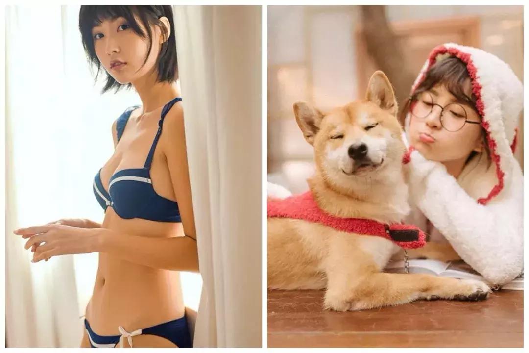 双11今明两年的对比,双11新趋势