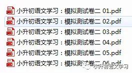 名师整理|2020年小升初语文全国名校真题卷+复习卷(附答案)