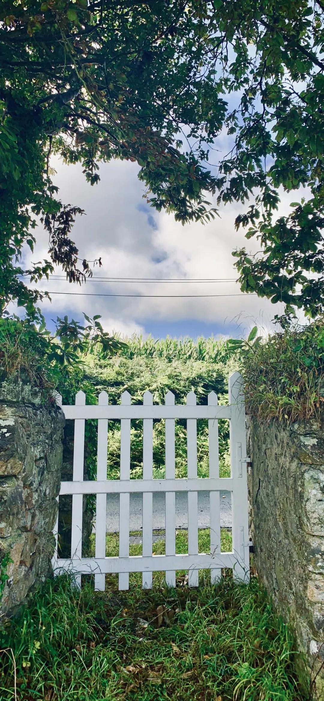 8k超清蓝光壁纸风景壁纸,壁纸超清全面屏山水风景壁纸