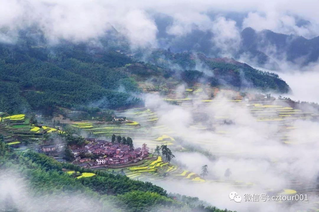 春天去哪里踏青省钱 (春季踏青美食攻略)