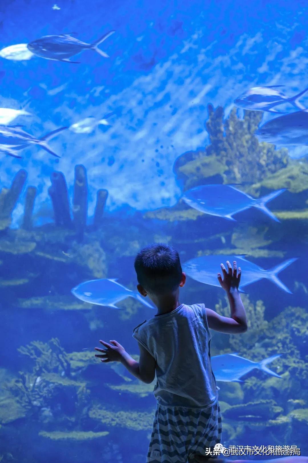 武汉中秋旅游攻略,武汉中秋节适合游玩的地方