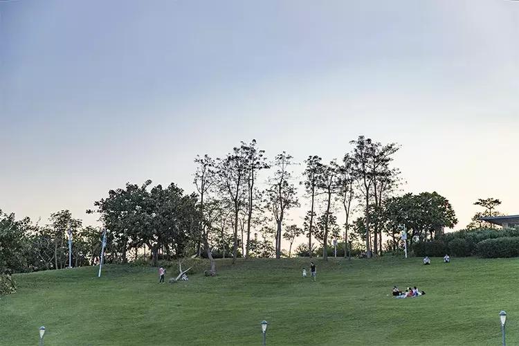 深圳海岸线高清图,深圳比较漂亮的海岸线