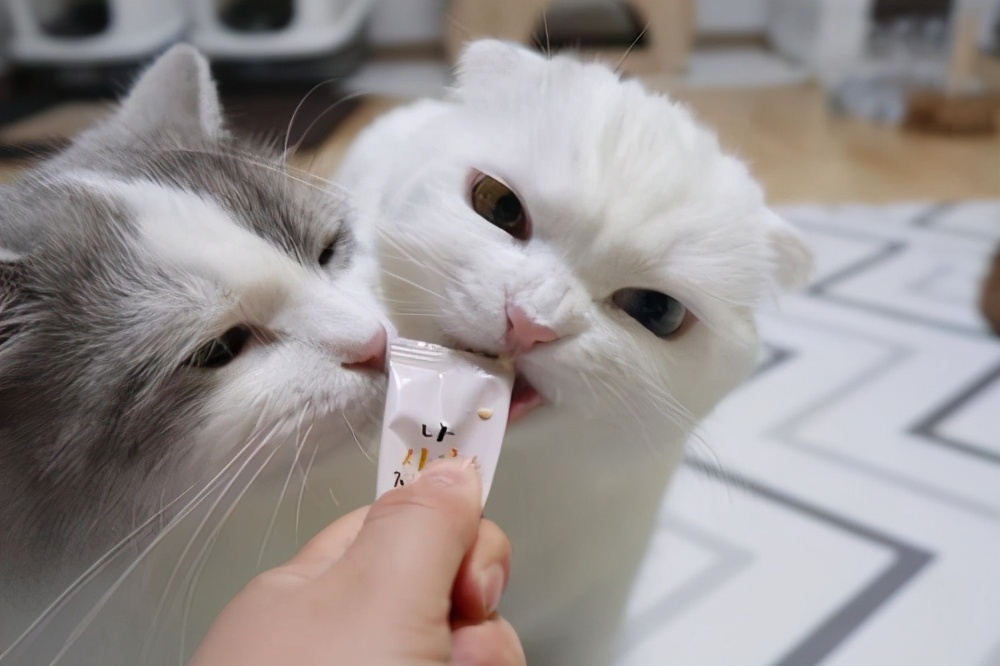 一点不起眼的小生意竟然月入3万,做好这几个小生意月入过万并不难