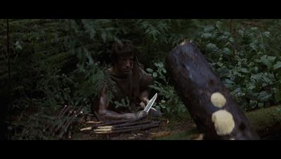 第一滴血是什么题材的电影,第一滴血最后一滴血完整版