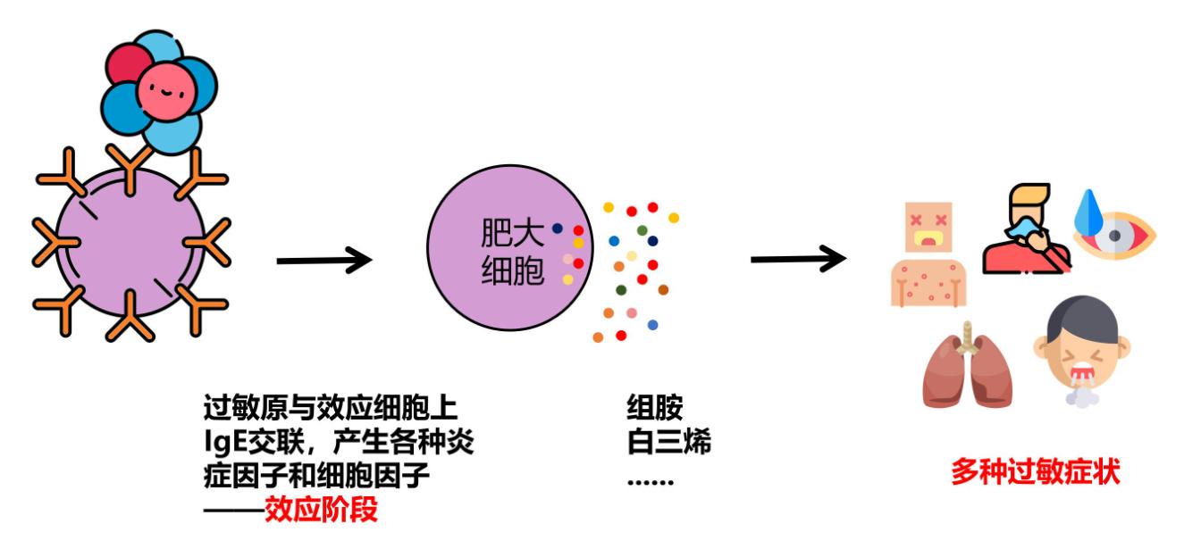 严重过敏会有其他并发症,严重过敏会致人死亡吗