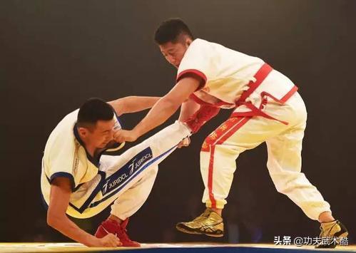 张伟丽不仅学过太极还学过中国跤,张伟丽ufc中国跤