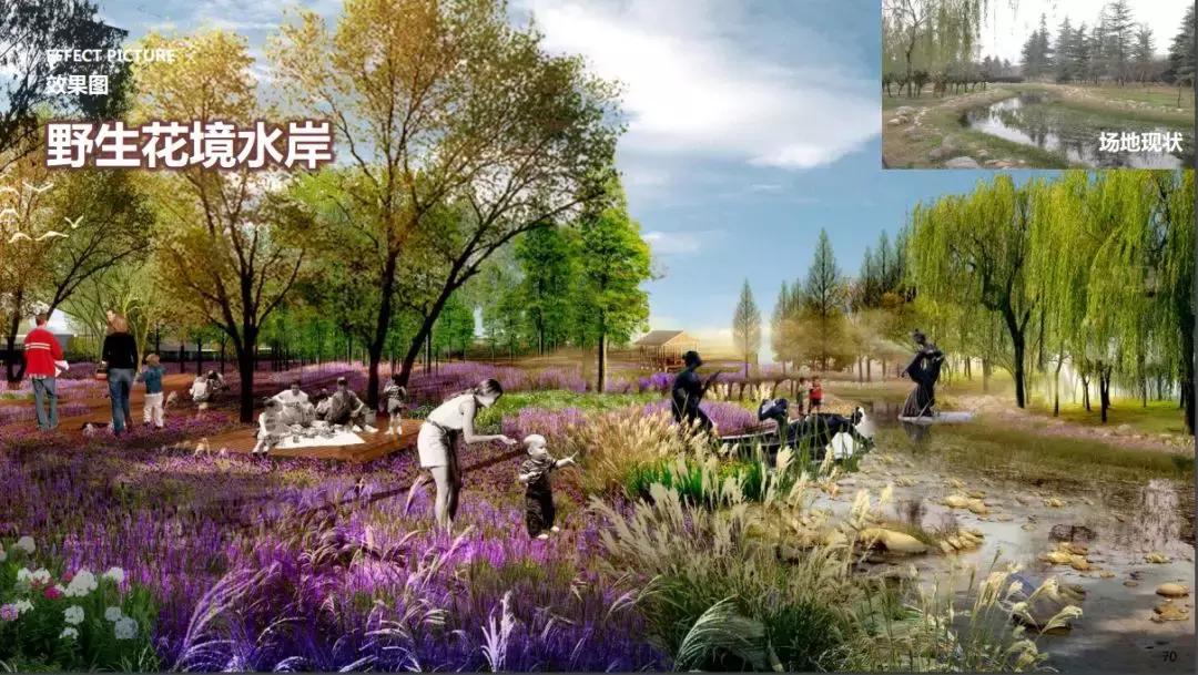 咸阳湖景区二期湿地公园,咸阳湖景区修复