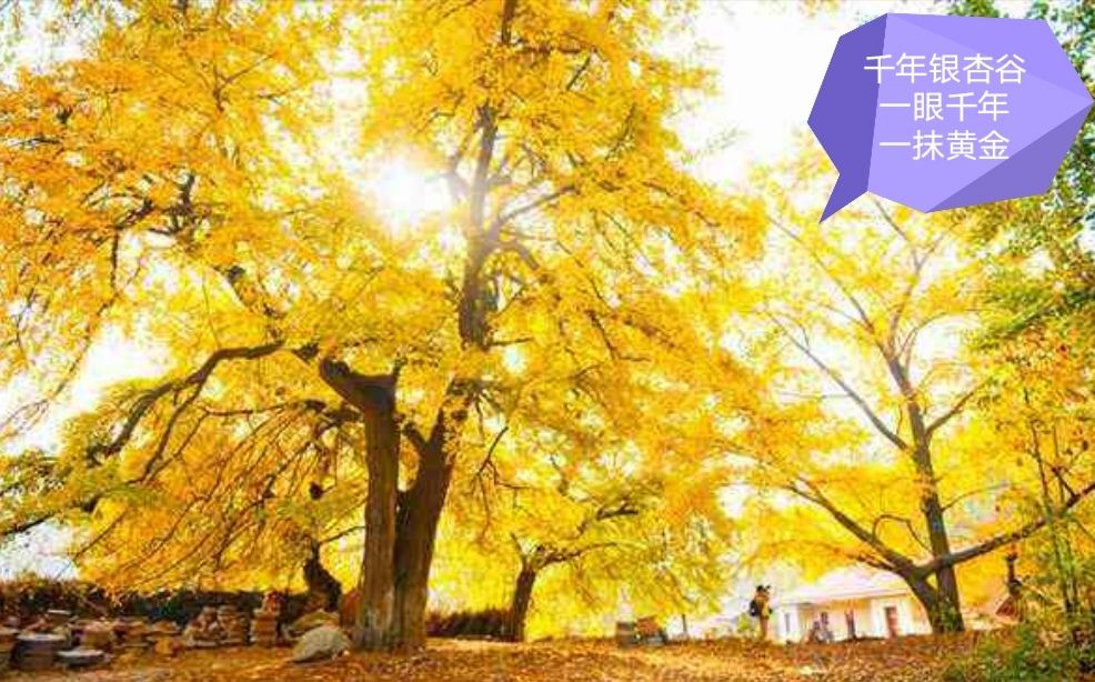 随州市房价2023年最新房价,2021年随州明珠雅居观悦房价