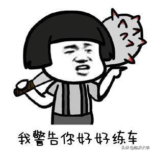 明星学车考驾照经历,一次难忘的学车过程的作文