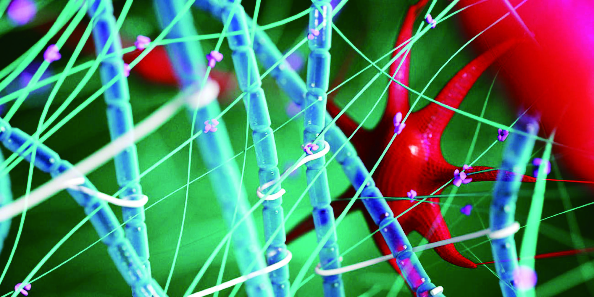 手术后免拆线用温水洗线会融化吗,医用胶水缝合伤口几天会愈合