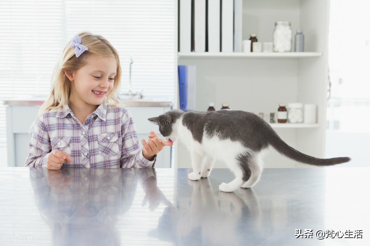 豪门高端保姆第十一集,豪门高端保姆全集