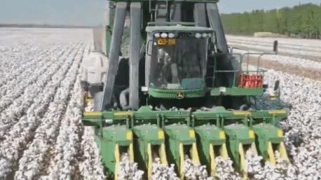 HM*制抵***疆新**棉花24小时后,让人愤怒的事情再次发生了!