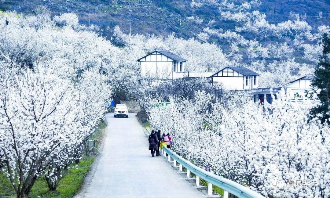 贵州的织金洞旅游攻略,贵州织金洞旅游自由行攻略