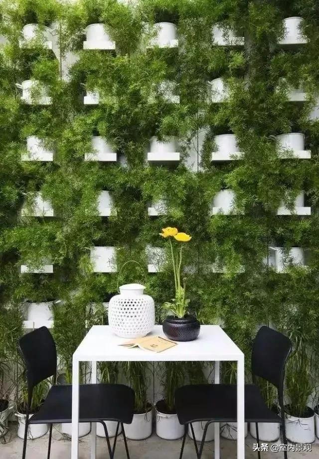 植物墙与永生植物墙不同,植物墙天然