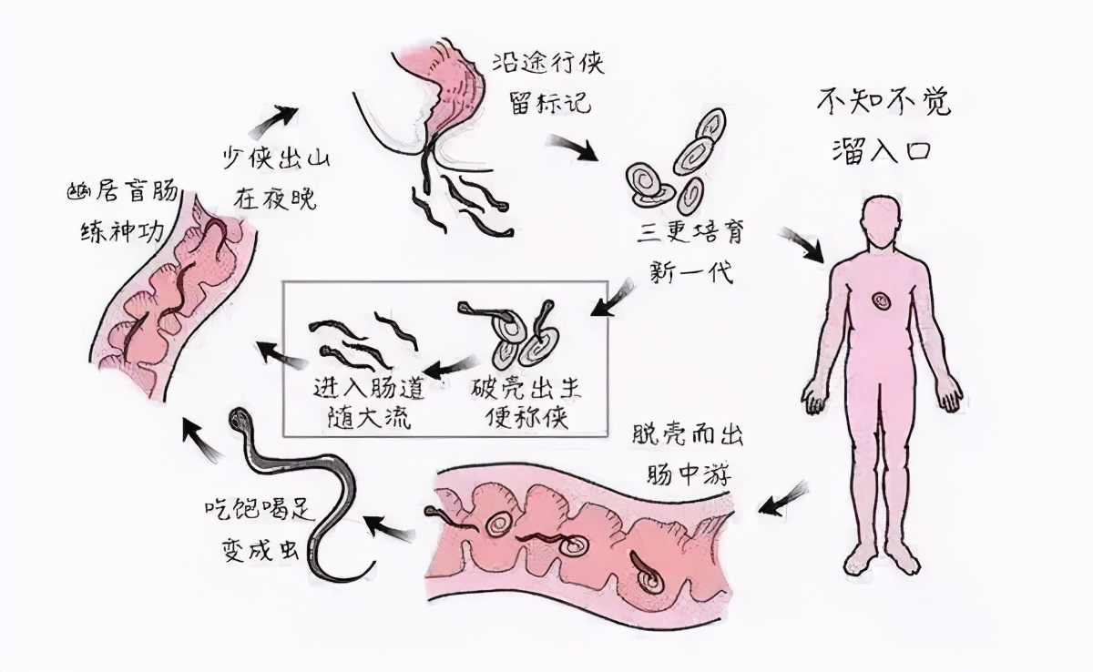 宝宝总是挠屁屁,宝宝老是挠屁屁和肚子