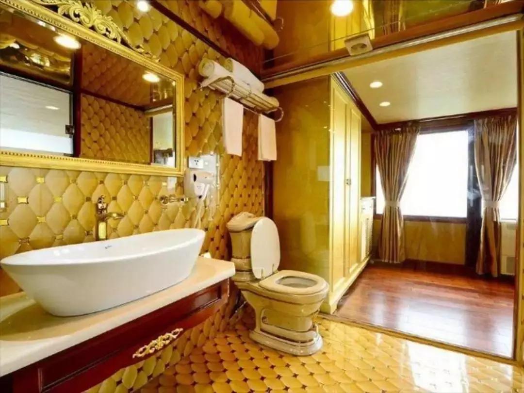 世界顶级豪华游轮合集,世界上7个不可思议的豪华游轮