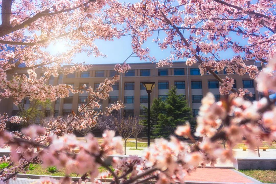 美过三亚!比厦门浪漫!中国这座海滨老城,去一次相当环游世界!