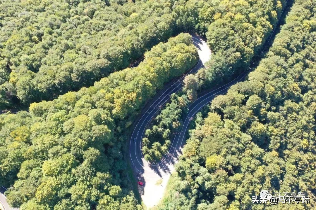 在家葛优躺的视频,晚上在家葛优躺视频