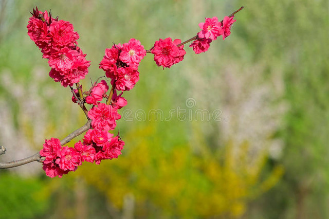 从《金缕衣》让迷失的你找到快乐之门