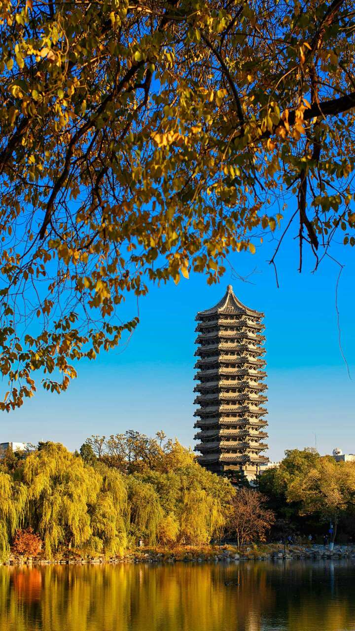 新教师岗前培训开营仪式讲话,新教师培训会上领导讲话