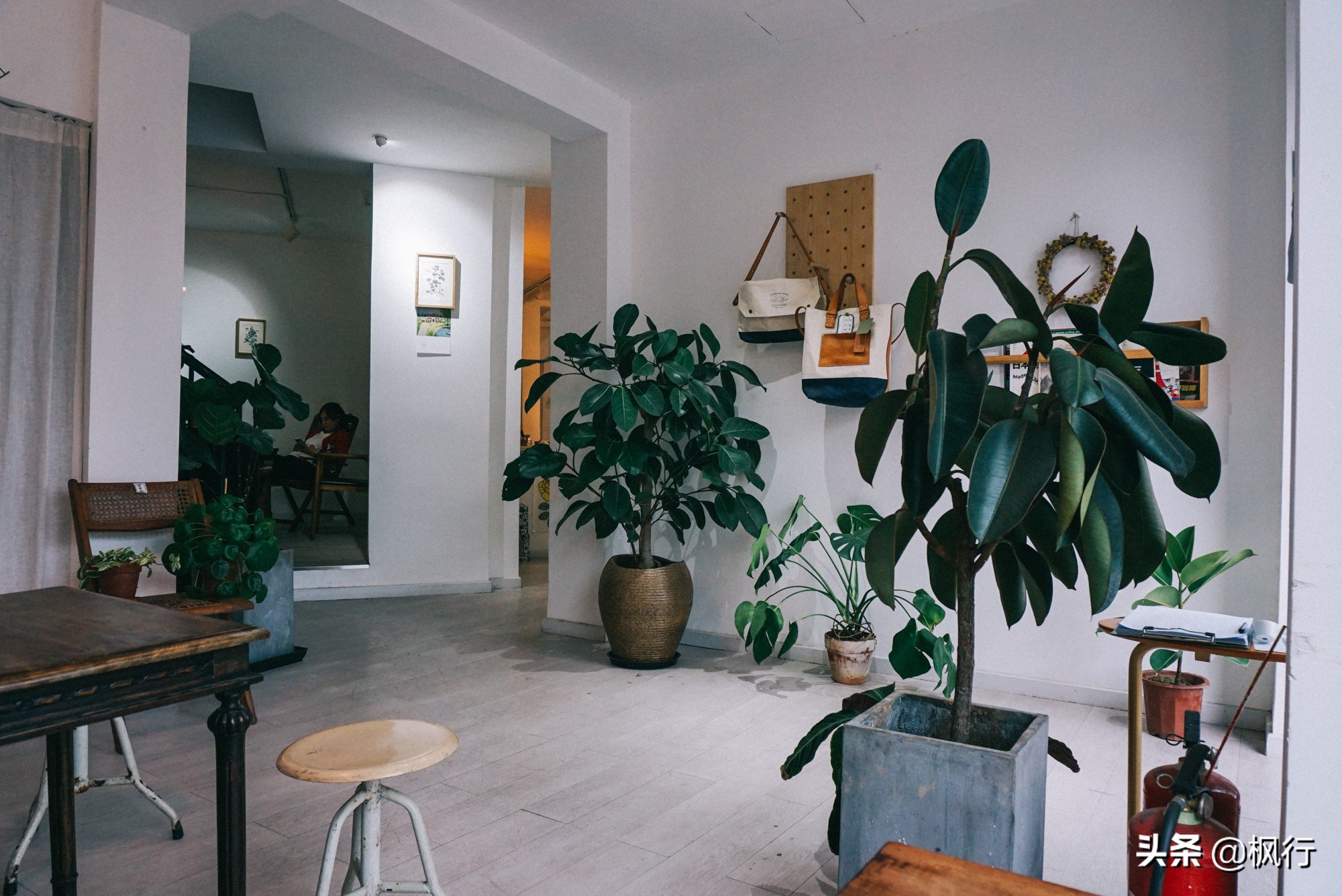 北京必去的咖啡店推荐,从什刹海到东单这5家个性咖啡馆