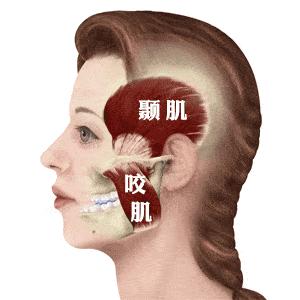 偏侧咀嚼造成脸歪补救,用一边牙齿咀嚼导致大小脸
