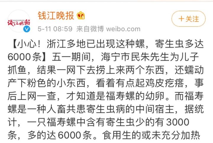 这种螺千万别吃,什么螺吃了会头晕