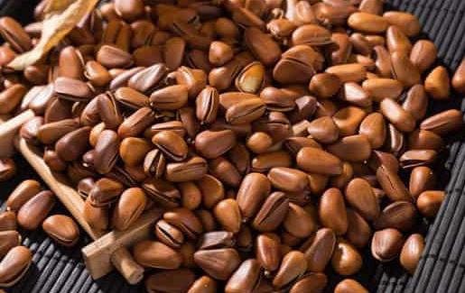 吃松子的正确方式,吃松子有哪些营养