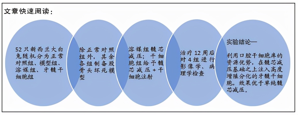 髓芯减压术治疗股骨头有什么风险,牙髓干细胞修复股骨头