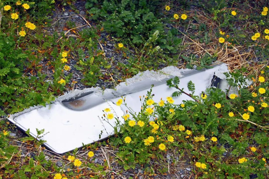 追逐公交的人,拼命追公交车