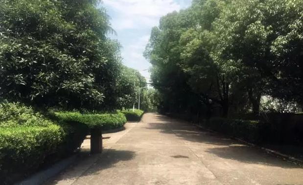 诸暨市综合高中,诸暨综合高中