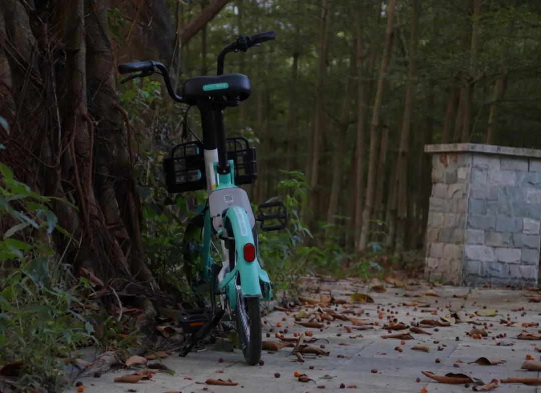 静谧角落香云纱,静谧角落视频