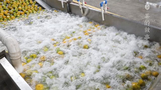 一两陈皮一两金指的是几年陈皮,一两陈皮一两金的出处