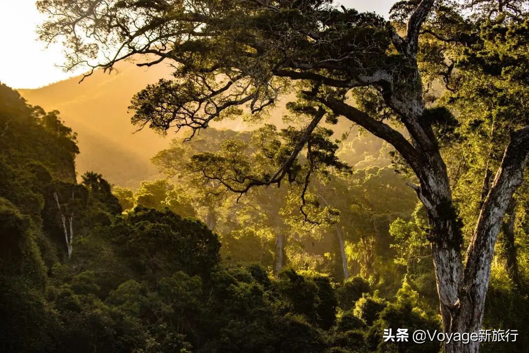 后疫情时代旅游业复苏的应对策略,后疫情时代下的旅游模式