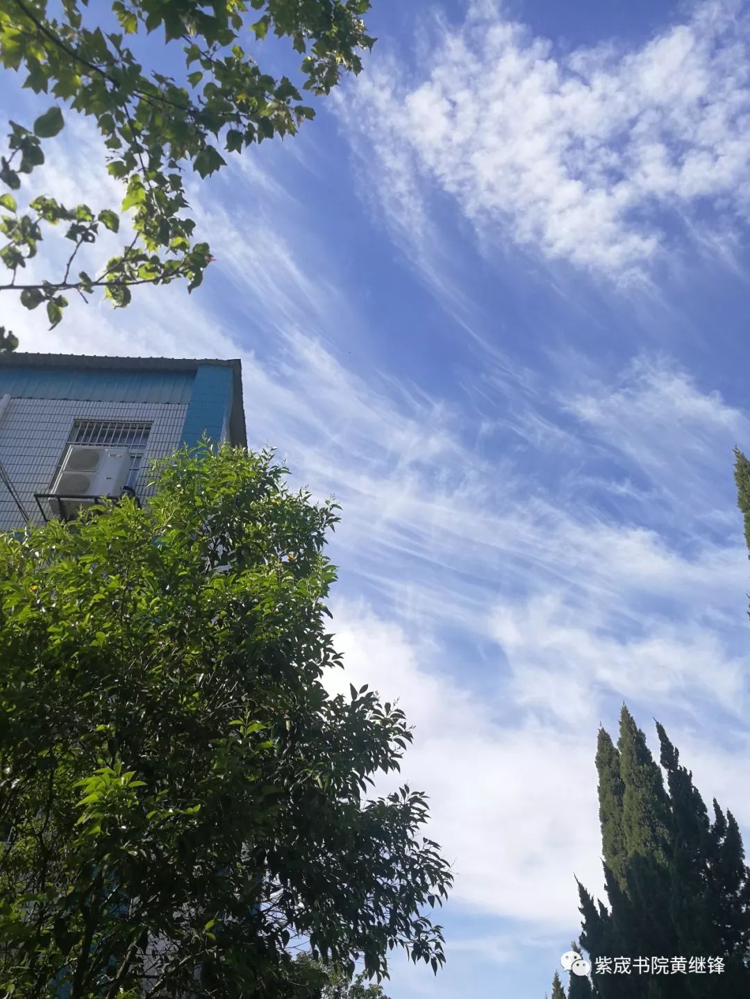 徐州三十六中图文,徐州三十六中