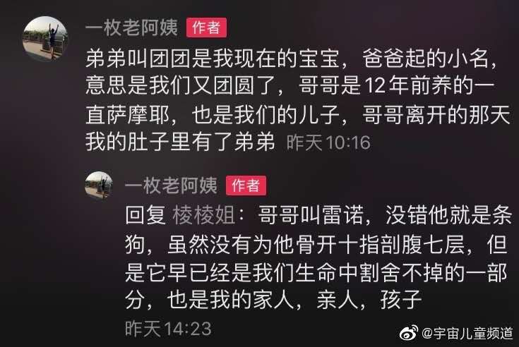 狗狗胎记和孩子一样,狗狗有胎记孩子也有胎记