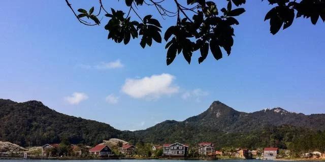 全国十大森林公园,中国十大森林公园