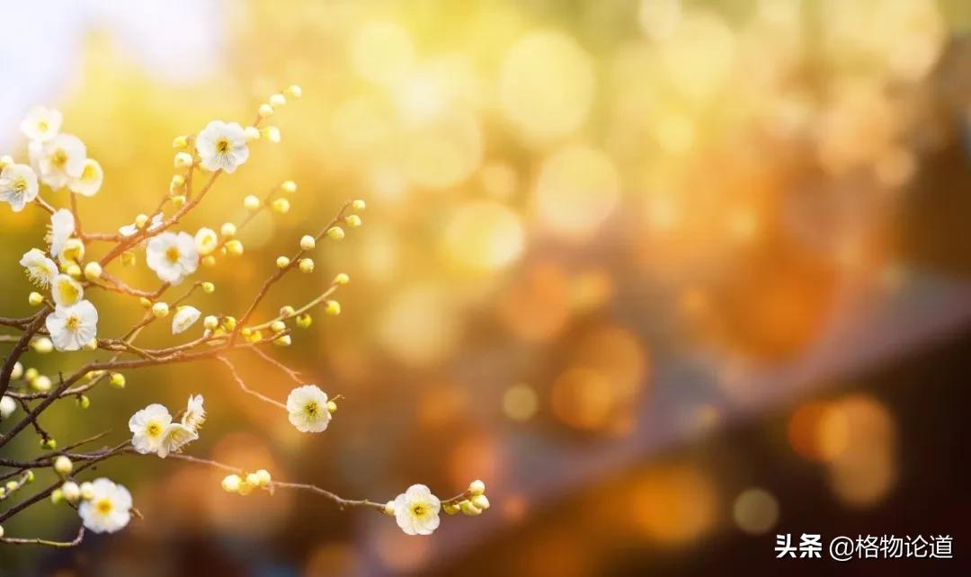 初三复习资料推荐全一册,超级好用的复习资料