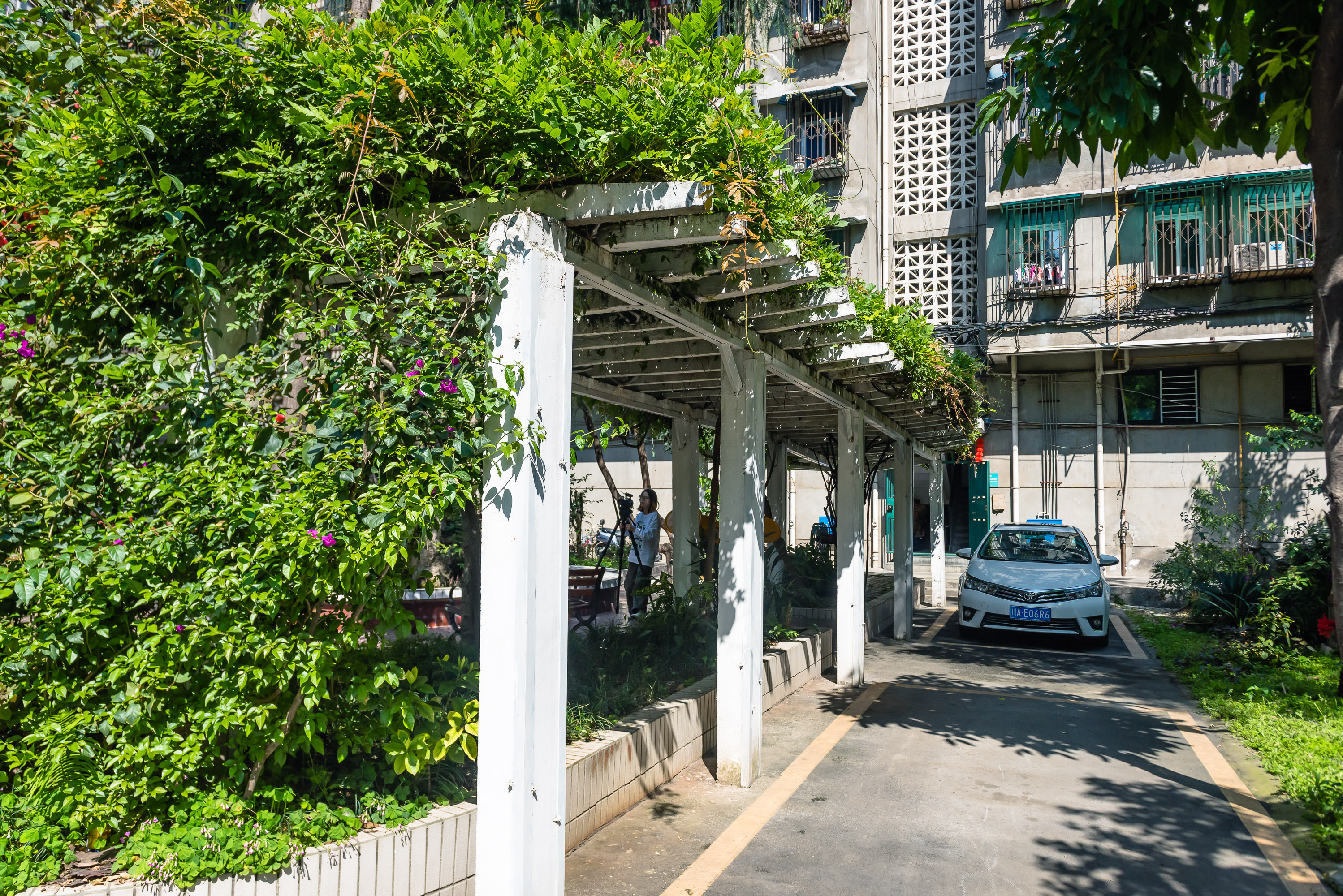 成都老城区改造,成都2024老城区改造