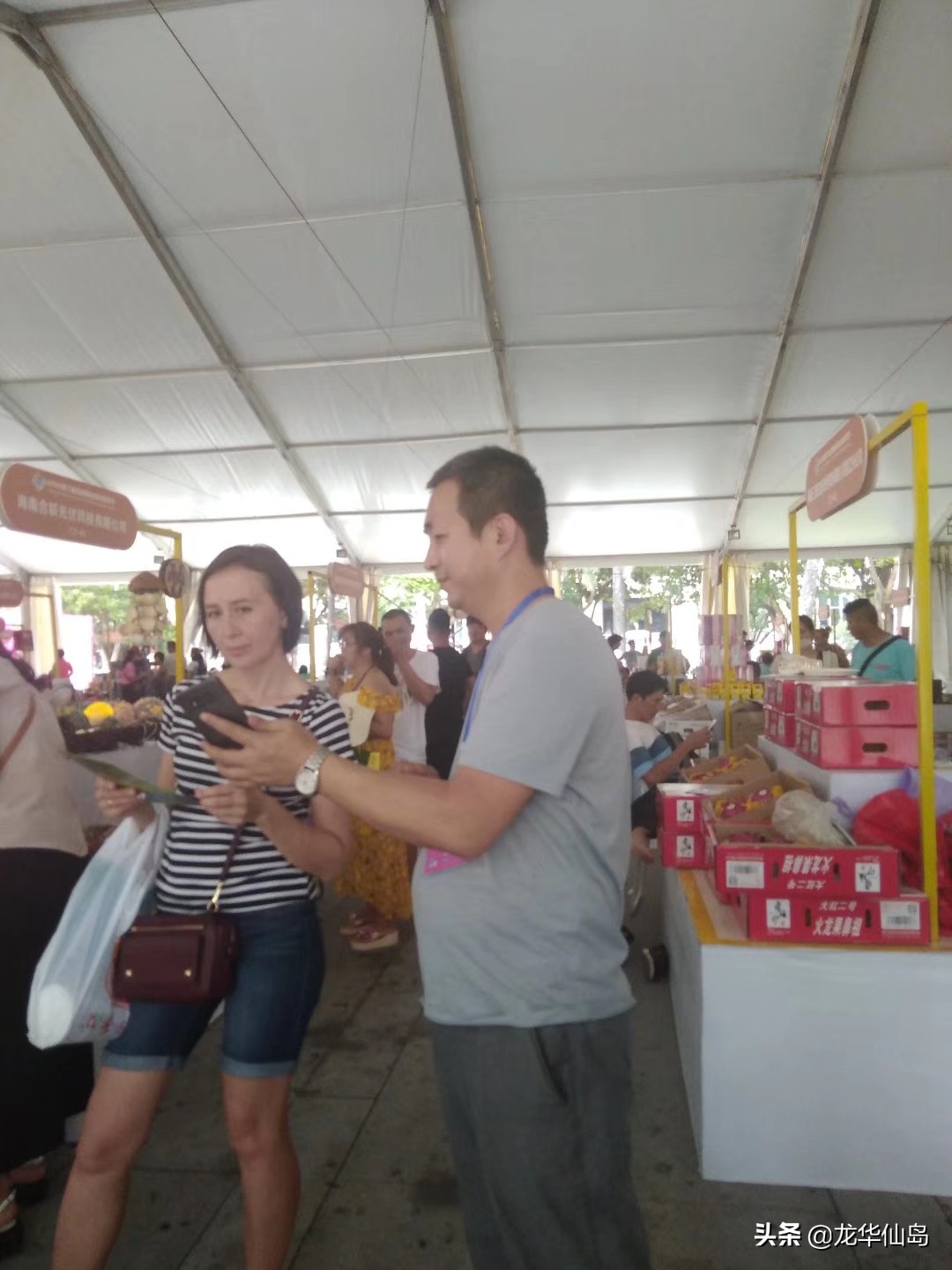 蟒蛇油使用案例与方法