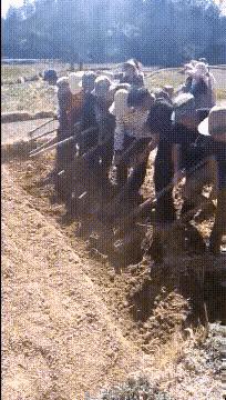 漂亮的人怎样都好看,漂亮的姑娘帅不帅