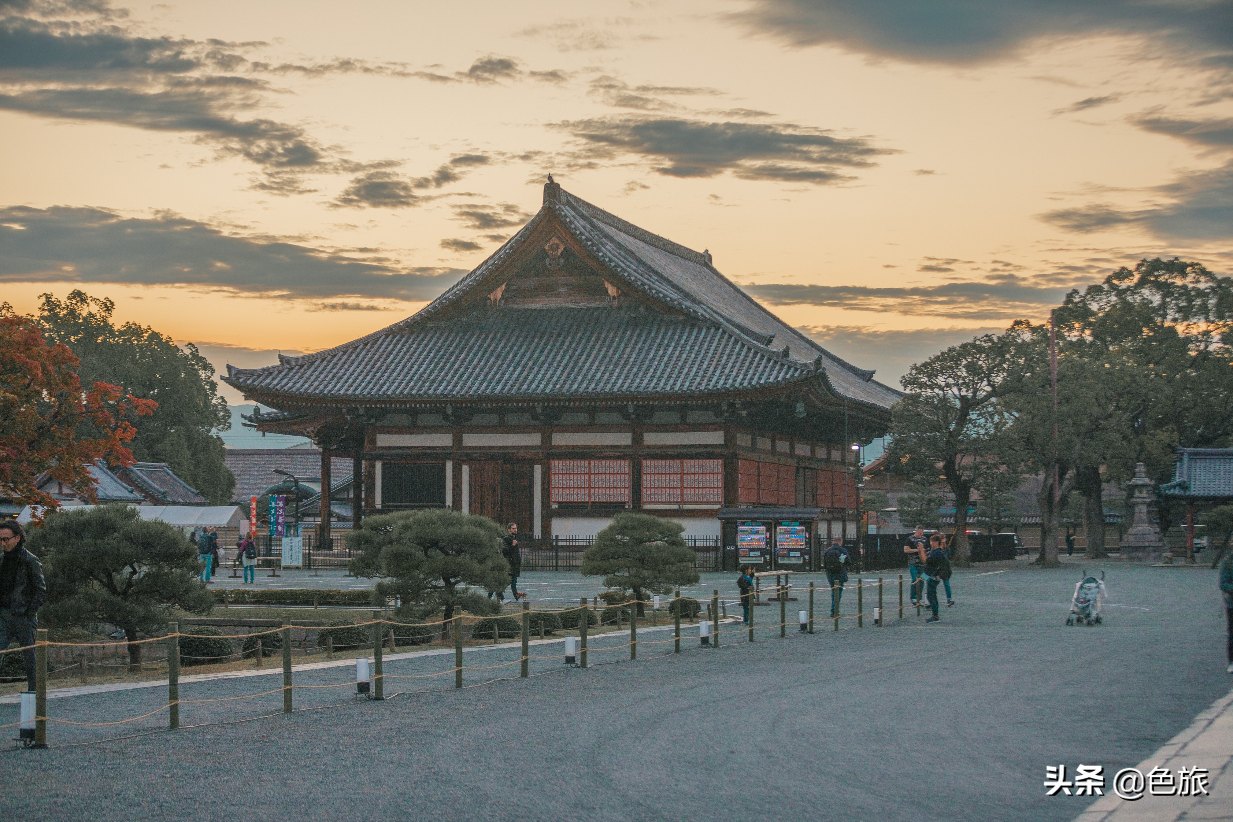 妖猫传日本访唐,妖猫传日本大师