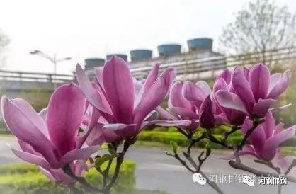 娌抽挗閭挗閾佽矾,娌抽挗閭挗楂樼倝