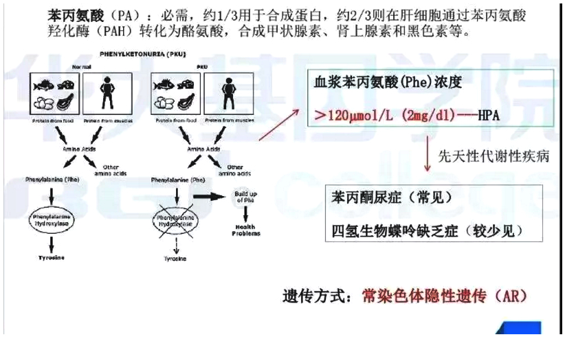 特医婴幼儿食品,苯丙酮尿症特医食品