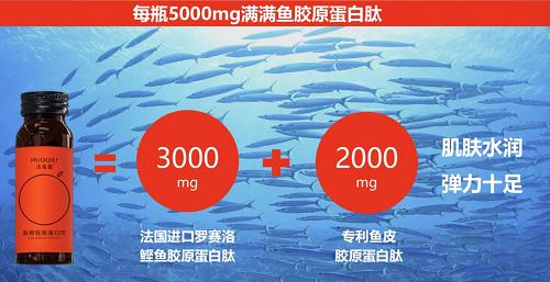 活氣麗——时尚、健康与活气吃出来