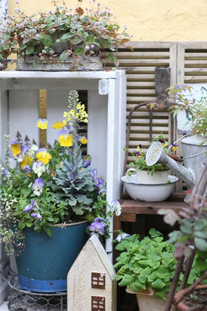 一个重度搪瓷爱好者的杂货花园