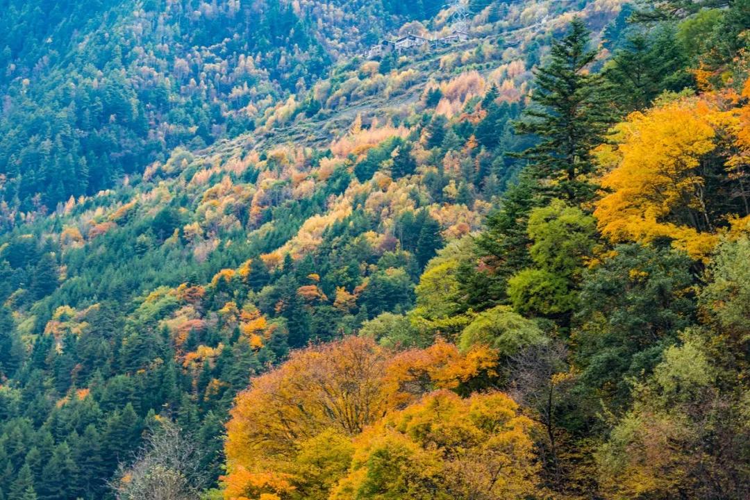 绫充簹缃楅湼鐜嬪北鏃呮父瑙嗛,绫充簹缃楅湼鐜嬪北鍏ㄦ櫙