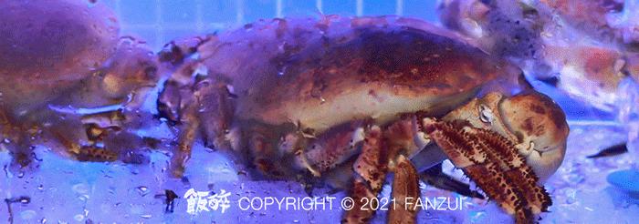 深夜组局新坐标！珠海「潮牌海鲜大排档」来了